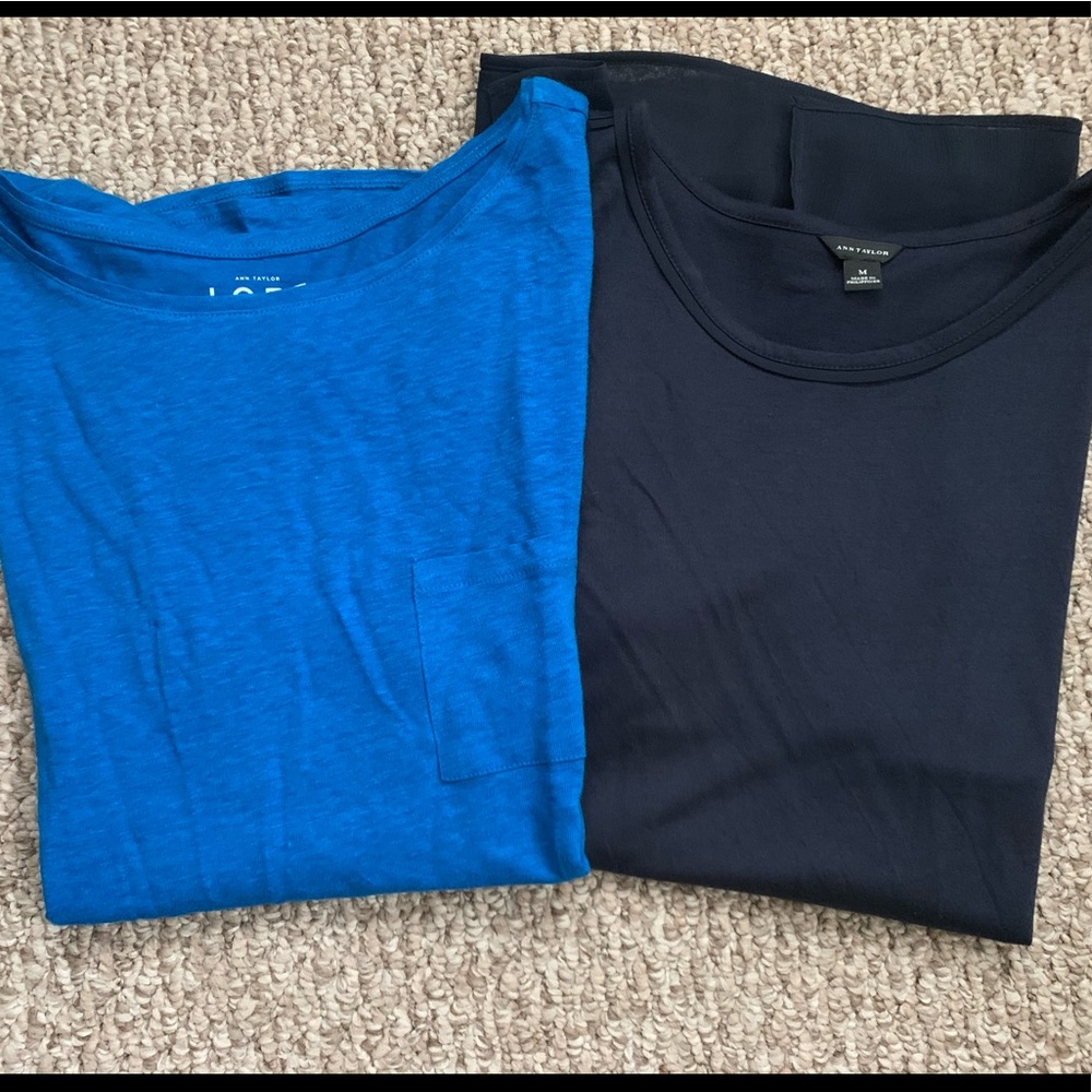 2 Loft/Ann Taylor tops in EUC $18